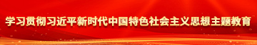 操抽插深学习贯彻习近平新时代中国特色社会主义思想主题教育